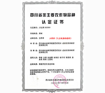 玉帶李認定證書